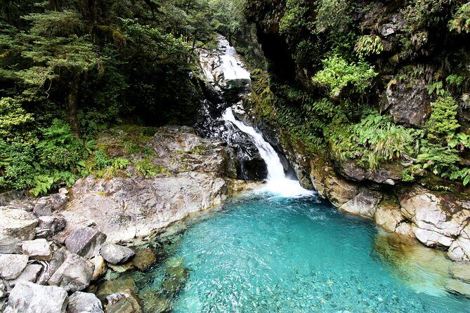 4 Day Tour to Milford Sound, Mount Cook & More from Christchurch - FAQ