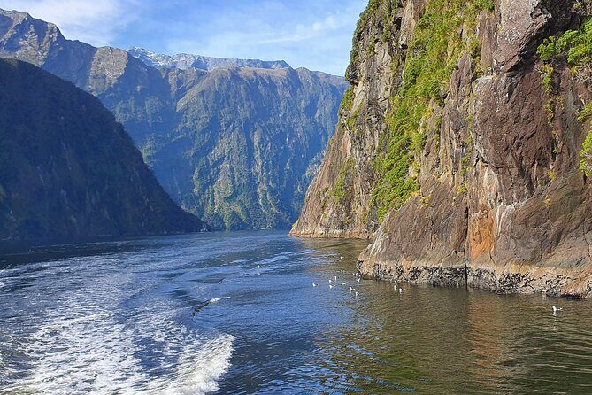 4 Day Tour to Milford Sound, Mount Cook & More from Queenstown - Final Thoughts