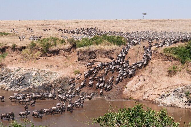 4-Day Tour to Tarangire, Serengeti and Ngorongoro - Day 1: Tarangire National Park – Elephants and Baobabs