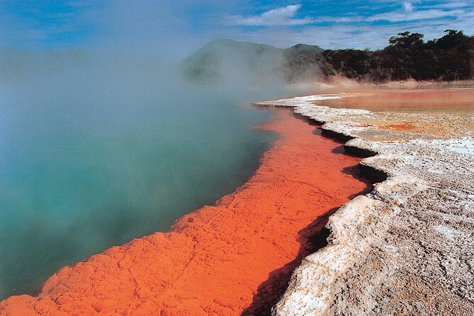 4-Day Wellington to Auckland via Rotorua Tour - Starting Point: Wellington and the Journey North