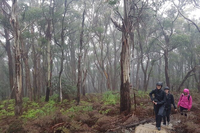 4 Day Wild Tasmania Tour / Wildlife, Nature, Hiking / Inc. Accom - FAQ