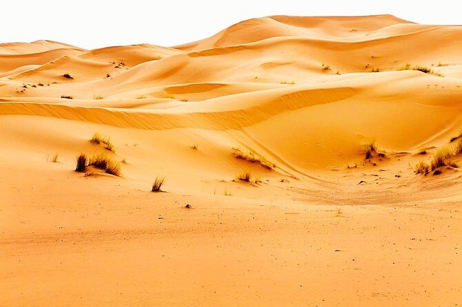 4 Days/ 3 N Marrakech To Fes Desert Tour - How This Tour Offers Value and Authenticity