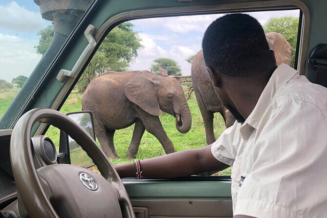 4 Days 3 Nights Budget Camping Safari (Tara, Serengeti, Ngoro) - Ngorongoro Crater: The Natural Wonder and Safari Finale
