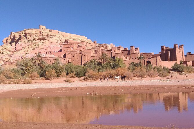 4 days 3 nights desert tour from Marrakech to Merzouga - An Authentic Moroccan Adventure: What to Expect