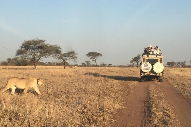 4 Days, 3 Nights Group budget Safari, Lake Manyara, Serengeti, Ngorongoro - Transport, Group Size, and Timing