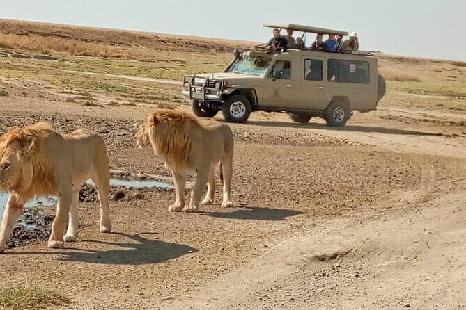 4 Days, 3 Nights Group budget Safari, Lake Manyara, Serengeti, Ngorongoro - Authentic Experiences: Wildlife, Landscapes, and Food