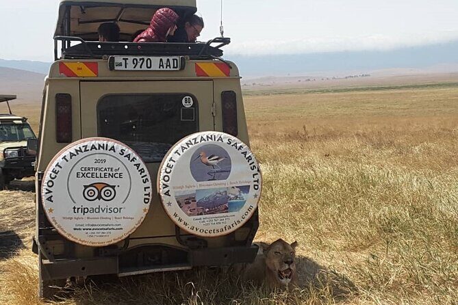 4 Days, 3 Nights Group budget Safari, Lake Manyara, Serengeti, Ngorongoro - Final Thoughts: Who is This Safari For?