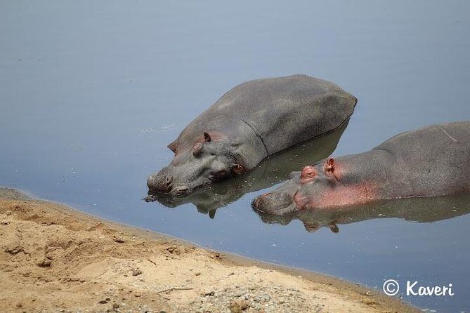 4 Days / 3 Nights Lake Manyara, Ngorongoro and Serengeti - FAQ