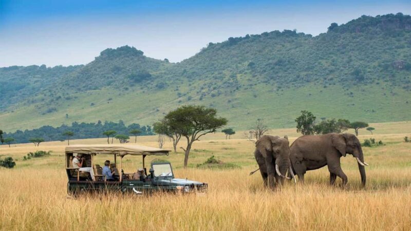 4 Days 3 Nights Masai Mara and Lake Nakuru Adventure safari - An Overview of the Safari Experience