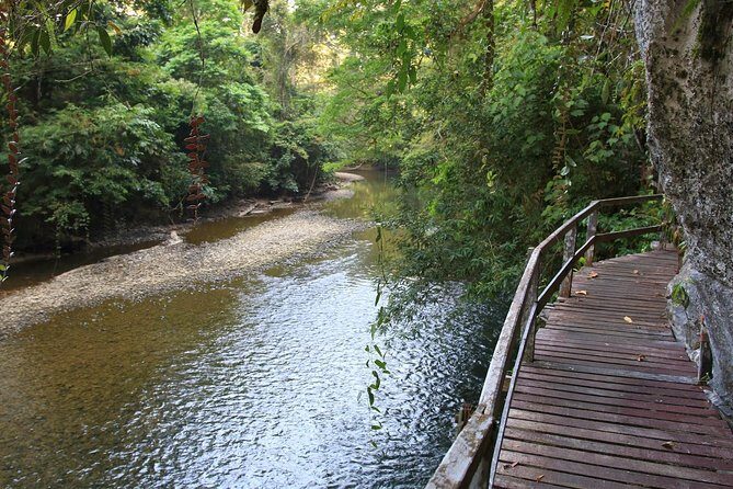 4 Days 3 Nights Mulu 4 Showcaves with Pinnacles - A Closer Look at the Itinerary