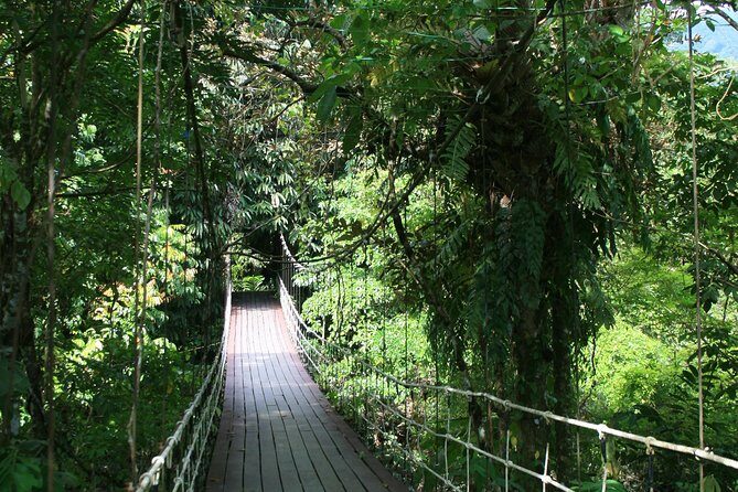 4 Days 3 Nights Mulu 4 Showcaves with Pinnacles - Practical Tips for Future Adventurers