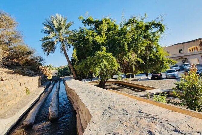 4 Days 3 Nights Package Oman Private Tour - Who Will Love This Tour?