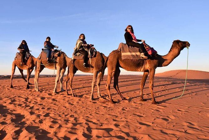 4 Days / 3 Nights Sahara Desert From Fez To Marrakech ( Luxury ) - Day 3: Ouarzazate and the Historic Aït Benhaddou