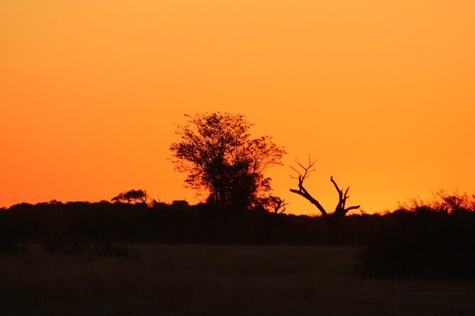 4 Days 3 Nights Savuti Mobile Camping Safari - An In-Depth Look at the Safari Experience
