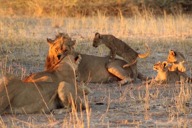4 Days 3 Nights Savuti Mobile Camping Safari - FAQs