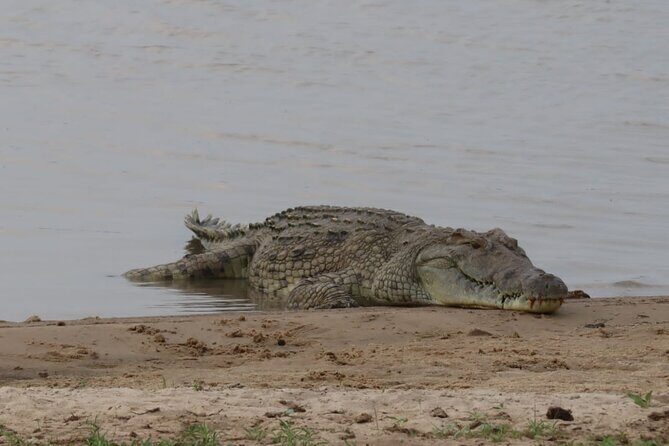 4 Days 3 Nights Selous (Nyerere national park) & Mikumi Adventure - An In-Depth Look at the Itinerary