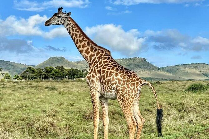4 Days 3 Nights Selous (Nyerere national park) & Mikumi Adventure - Frequently Asked Questions
