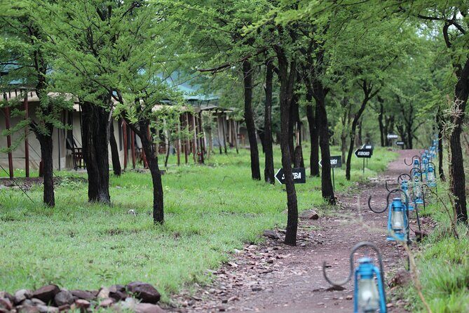 4 Days 3 Nights Tanzanian Budget Safari Tour - The Sum Up: Who Will Love This Safari?