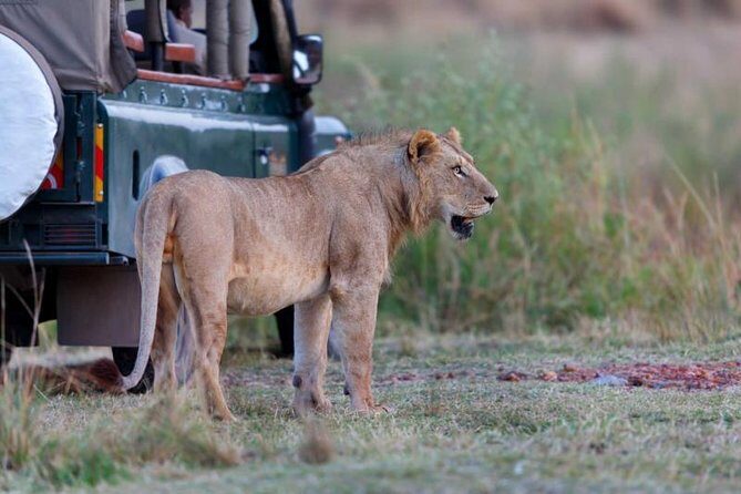 4 Days 3 Nights Tarangire Serengeti & Ngorongoro Lodge Safari - Wrapping It Up