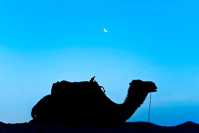 4 Days 3 Nights tour from Marrakech end up in Marrakech via Merzouga Desert - The Sum Up