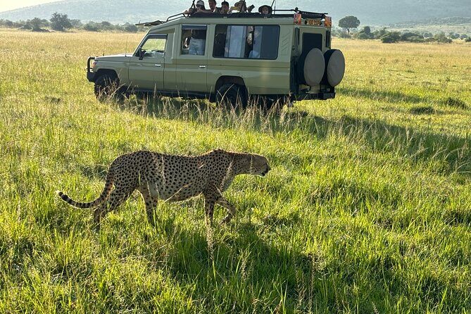 4 Days 4WD Private Maasai Mara, Nakuru Parks with Lodge LUXURY - An In-Depth Look at the Safari Experience