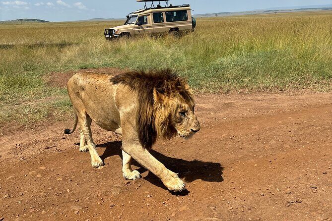 4 Days 4WD Private Maasai Mara, Nakuru Parks with Lodge LUXURY - Final Thoughts