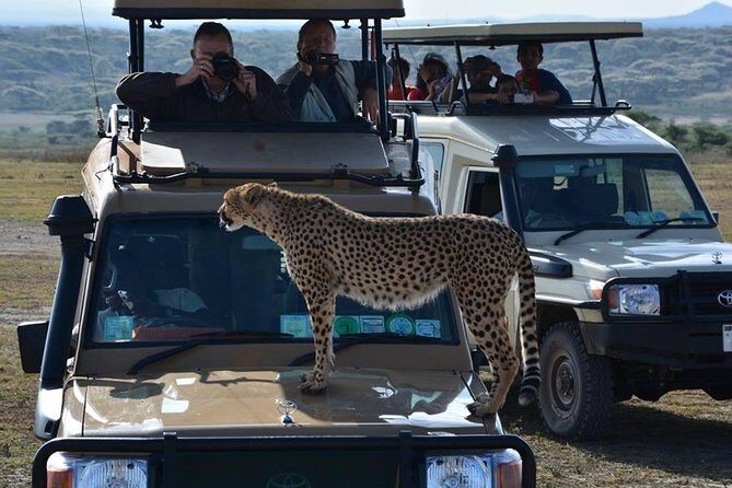 4-Days Adventure Camping Safari to Tarangire, Serengeti & Ngorongoro - A Practical Look at the Safari Itinerary