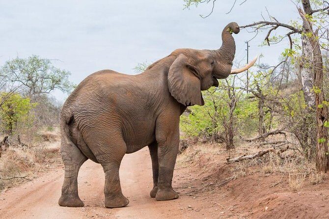 4-Days Adventure Camping Safari to Tarangire, Serengeti & Ngorongoro - Final Thoughts