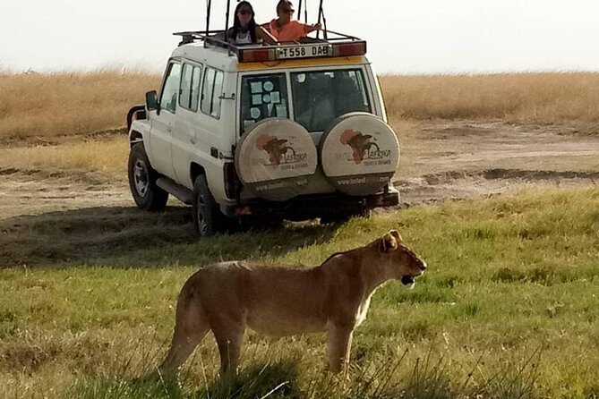 4 Days Affordable Tanzania Budget Safari - Introduction