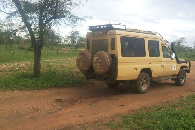 4 Days Affordable Tanzania Budget Safari - Final Thoughts: Is It Worth It?