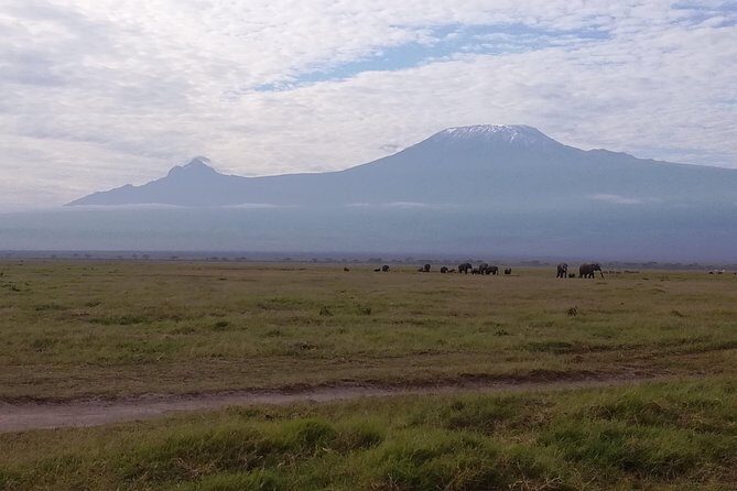 4 Days Amboseli & Tsavo West Wildlife Safari - Key Points