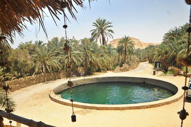 4 Days and 4 Nights Siwa Oasis Egypt Private Tour - The Sum Up