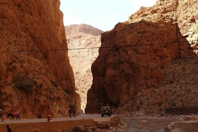 4-Days Atlas and Sahara Private trip from Marrakech - The Desert Comes Alive: Erg Chebbi Dunes