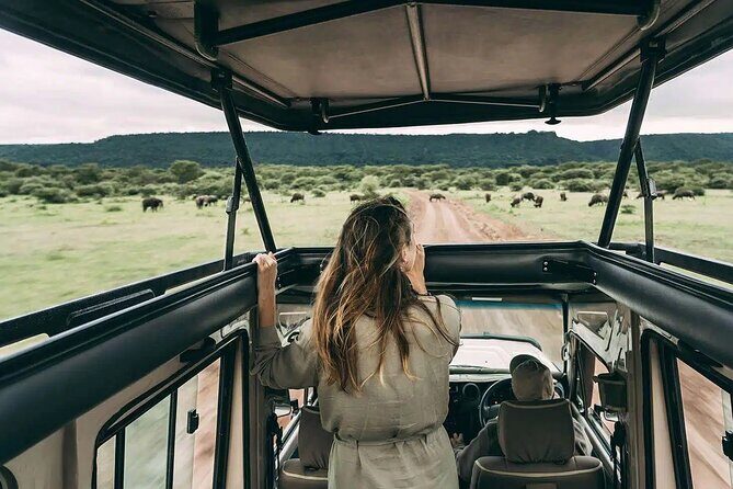 4 days Awesome Luxury safari Tarangire Serengeti & Ngorongoro - Day 3: Ngorongoro Conservation Area and Eastern Serengeti