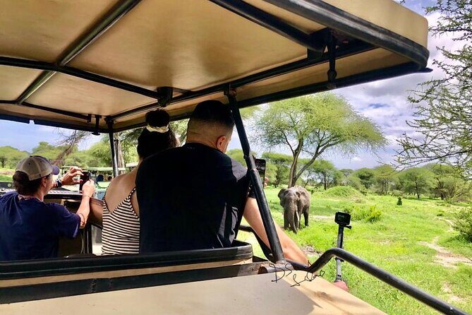 4 days Awesome Luxury safari Tarangire Serengeti & Ngorongoro - Day 4: Ngorongoro Crater