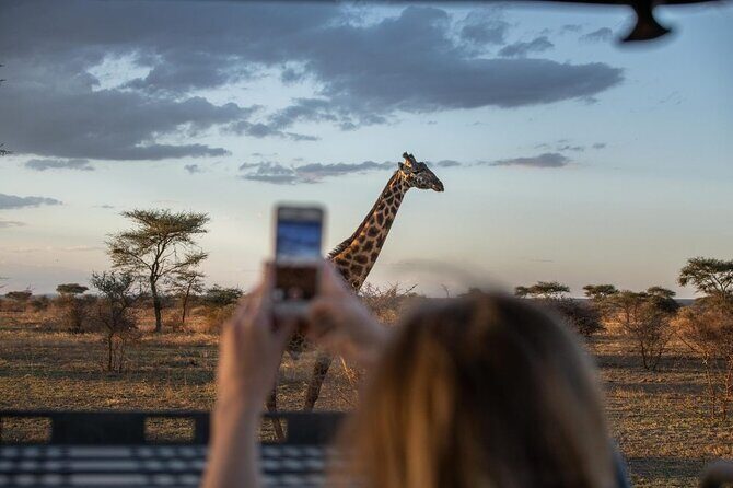 4 Days Best Budget Tanzania Camping Safaris - Final Thoughts
