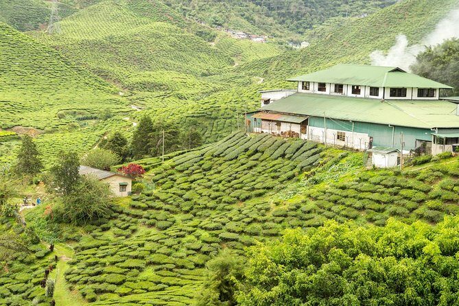 4 Days Best of Kerala Tour with Private Houseboat, Sightseeing & Car - Day 3: Kerala Backwaters & Houseboat Adventure