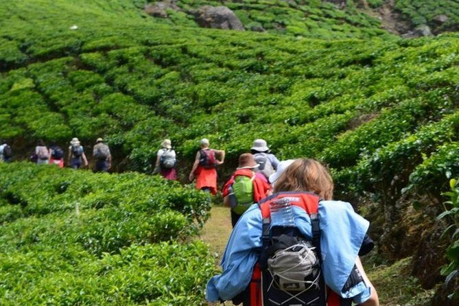 4 Days Best of Kerala Tour with Private Houseboat, Sightseeing & Car - Practical Details & Considerations