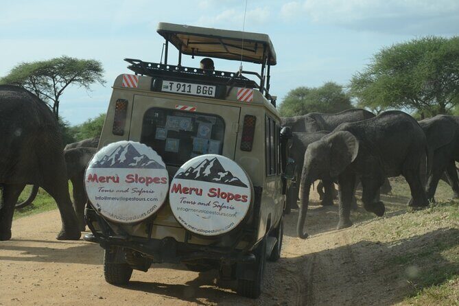 4 Days Big 5 Tour & Cultural Experience - Authentic Encounters and Guided Expertise