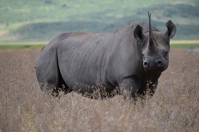 4: days Big five safari - Authentic Encounters and Cultural Touches