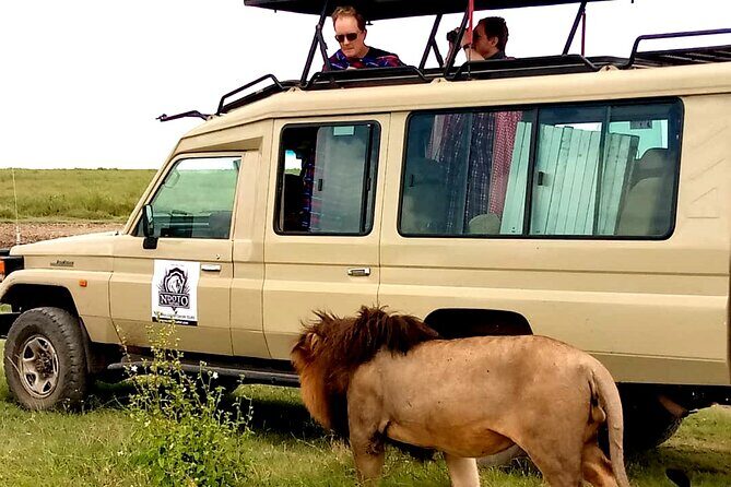 4 Days Budget Camp Safari Serengeti, Ngorongoro Crater and Tarangire Park - Exploring Tanzania’s Top Safari Parks in Four Days