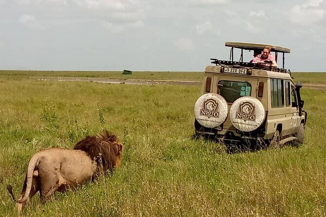 4 Days Budget Camp Safari Serengeti, Ngorongoro Crater and Tarangire Park - FAQ