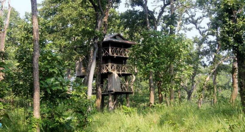 4 Days Chitwan Jungle Tour with 1 Night Jungle Tower stay - FAQs