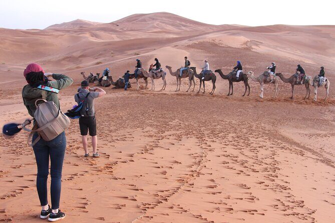 4 Days Desert Tour from Casablanca to Marrakech Via Fes and Sahara - Who This Tour Is Best For