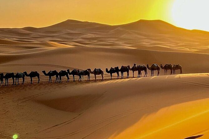 4 Days Desert Tour From Marrakech to Fes via Merzouga Dunes - A Deeper Look at the 4-Day Itinerary