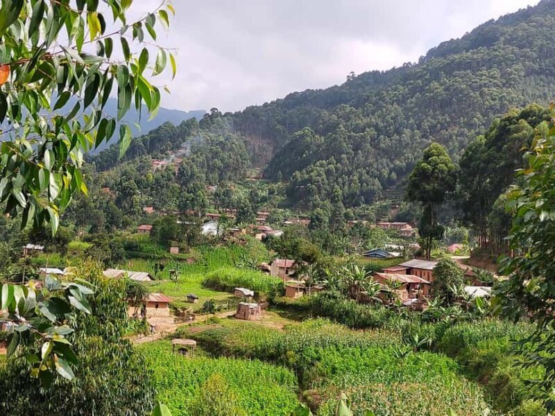 4 Days Gorilla and Volcanoes in Kisoro - Key Points