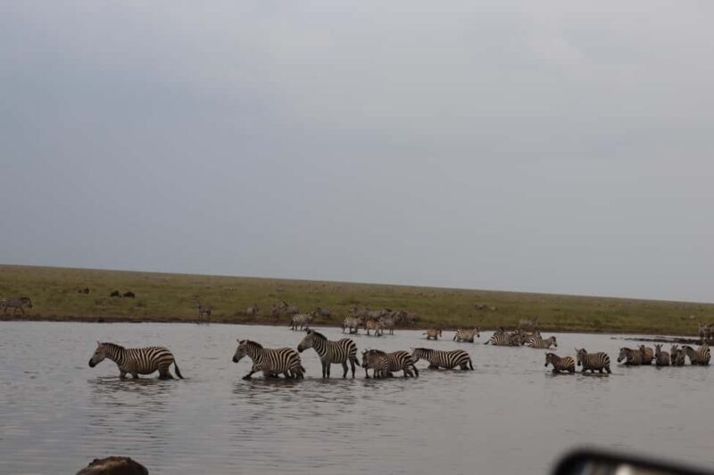 4 Days Group Tour Tarangire, Serengeti & Ngorongoro Crater - The Itinerary Breakdown: What You Can Expect