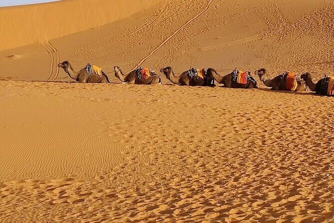 4 Days Group Tours From Fes to Marrakech via Merzouga - FAQs