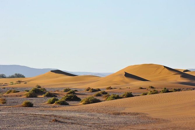 4 Days Hiking To Desert - Final Thoughts: Is This Tour Right for You?