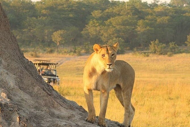 4 days Hwange Safari Game drive Staying at Iganyane Tented camp - FAQ